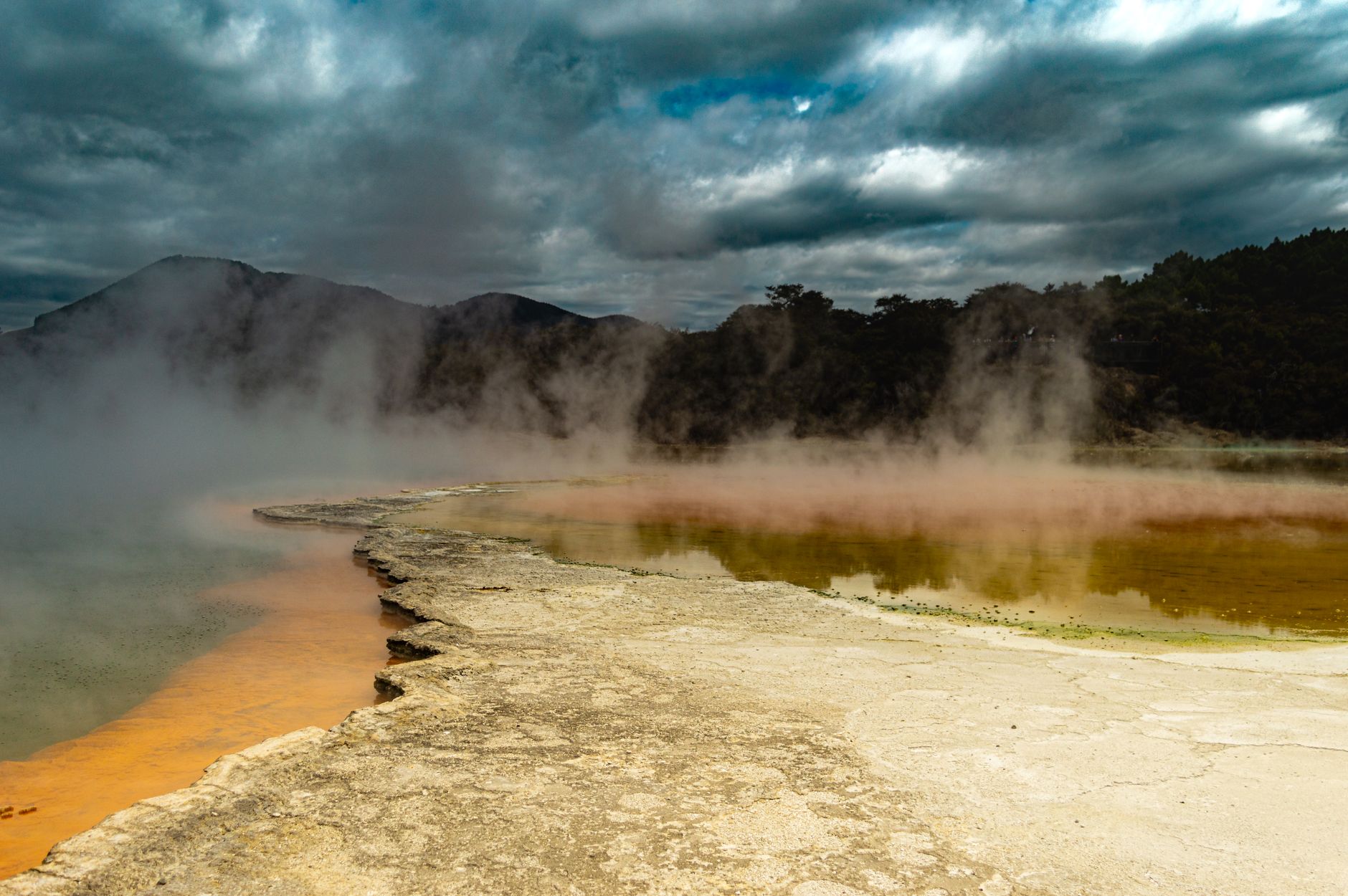 Geothermal steaming valley in Rotorua