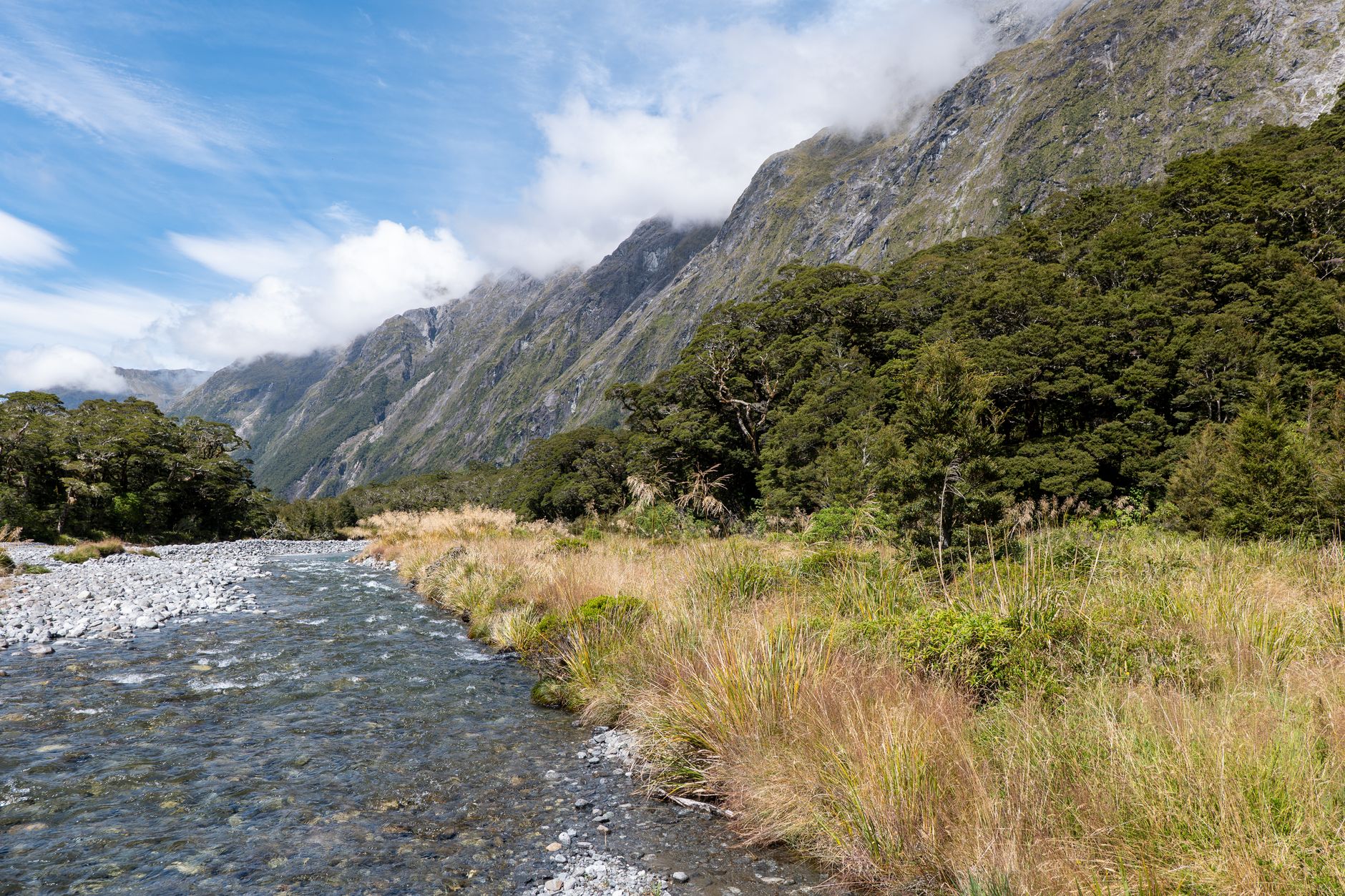 Fiordland Great Walks