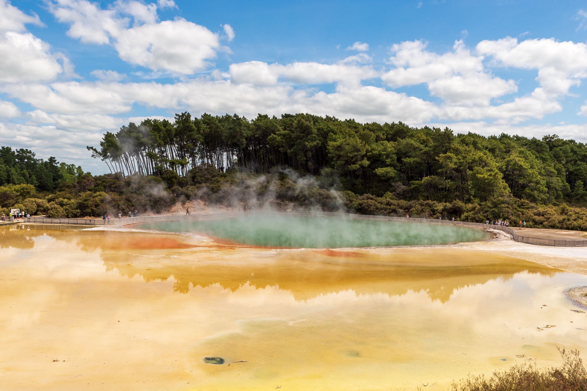 Rotorua Geothermal Wonders